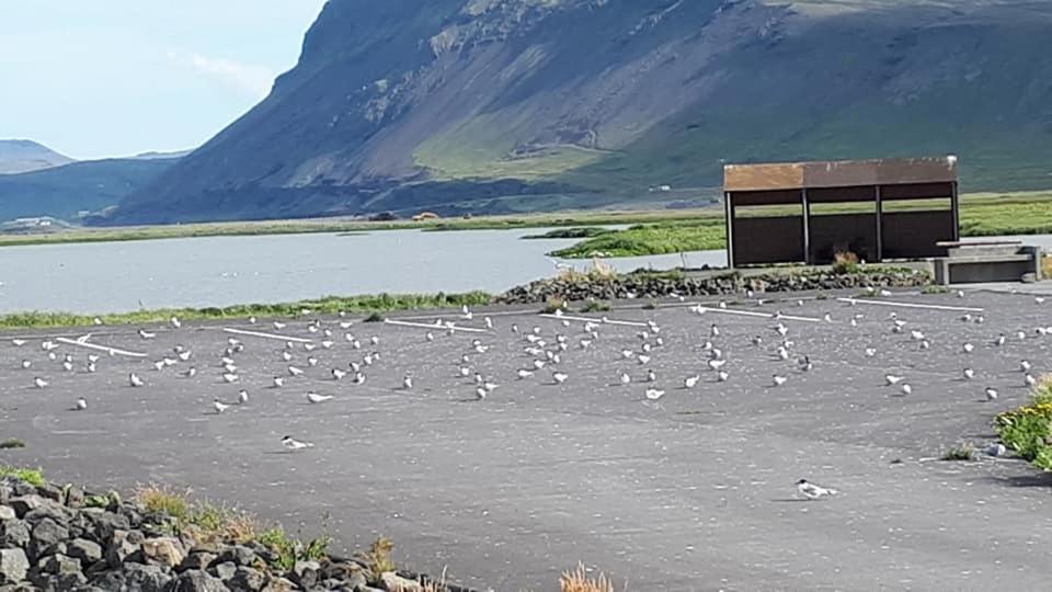 Bikers Paradise Olafsvik Exterior foto